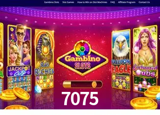 7075 Rio de Janeiro - Bonus Terms