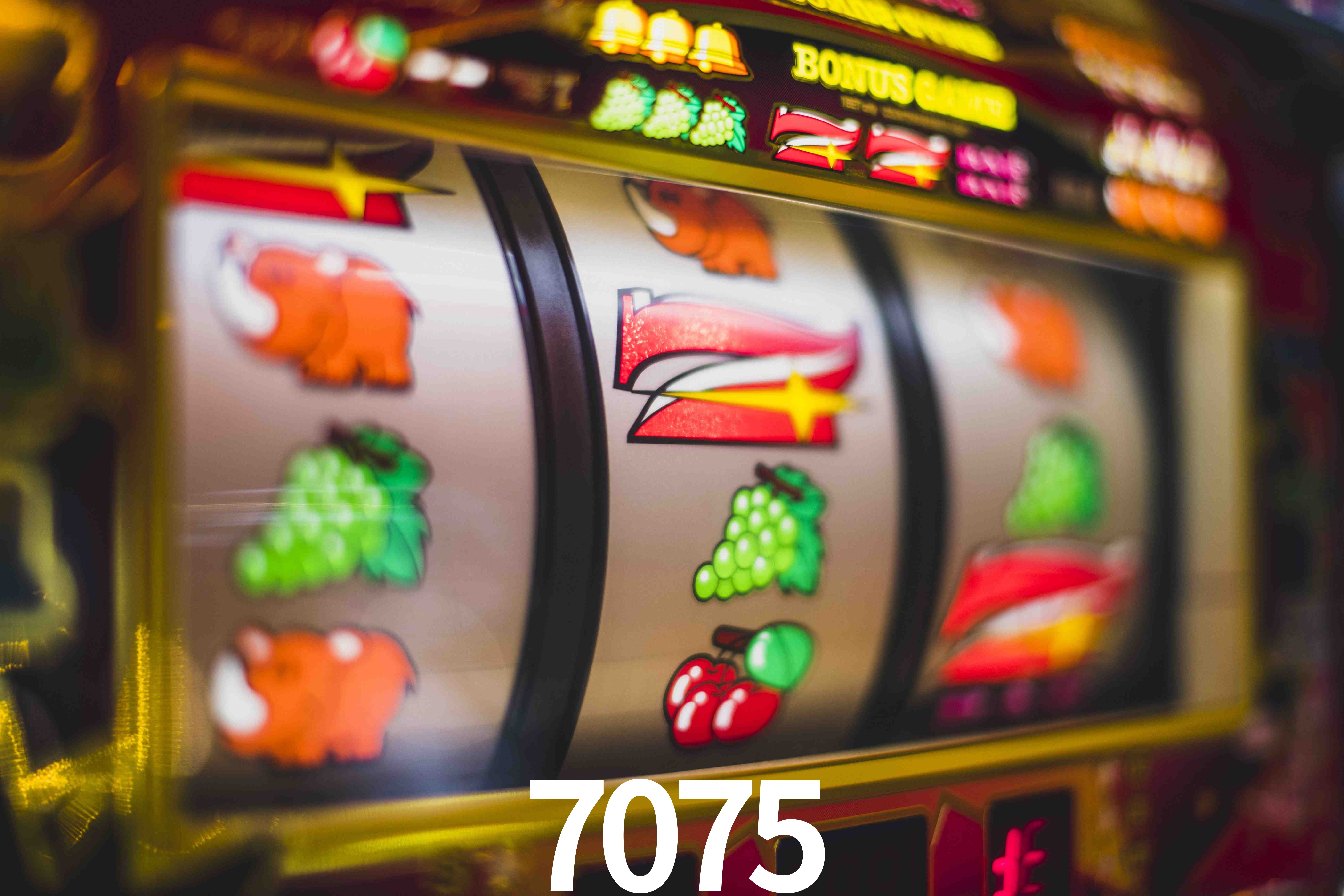Statistics 7075